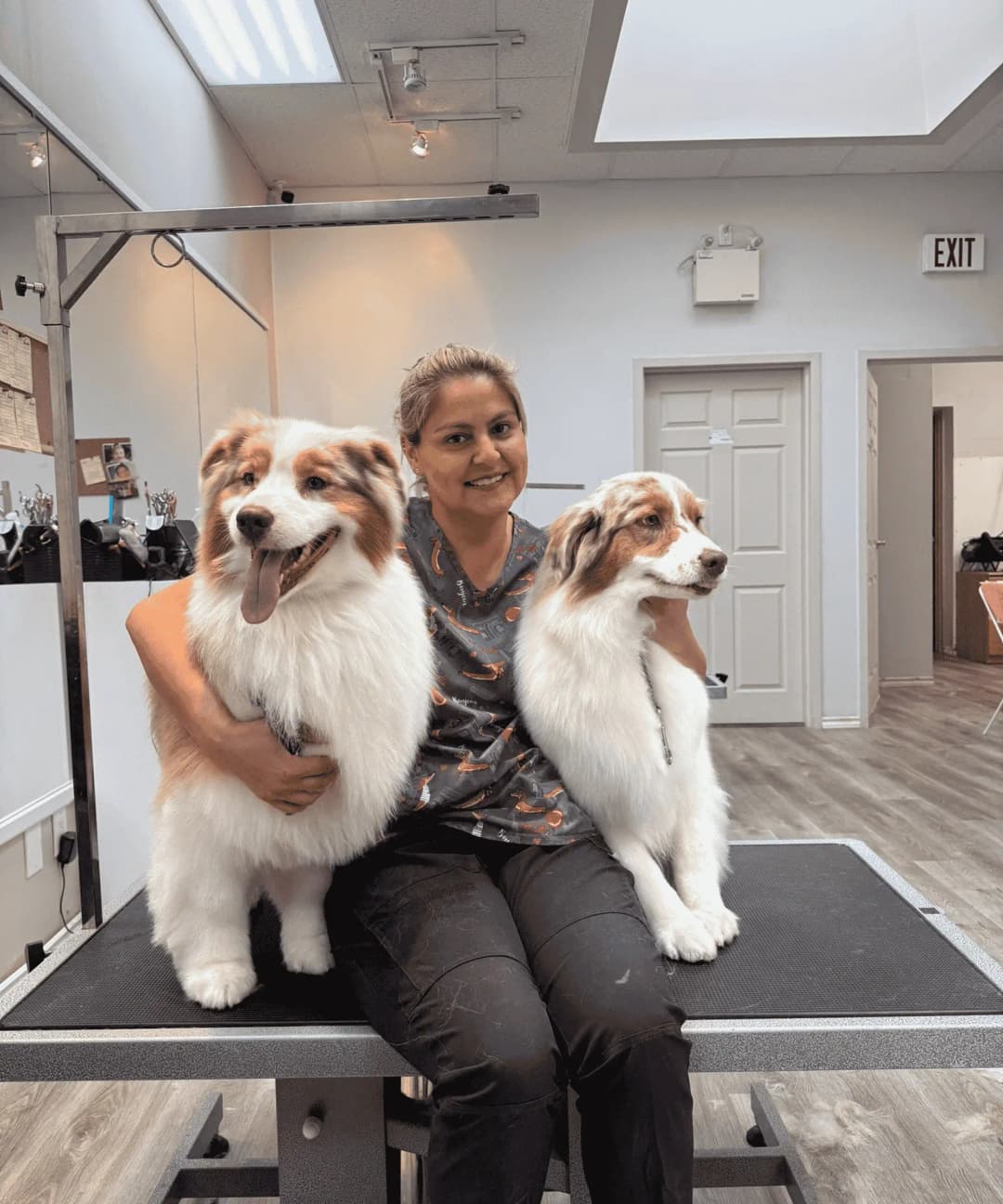 Gallery Amazing Pet Grooming