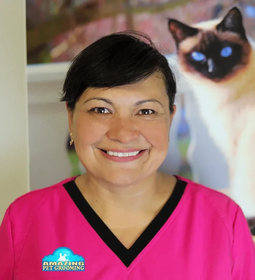Gallery Amazing Pet Grooming