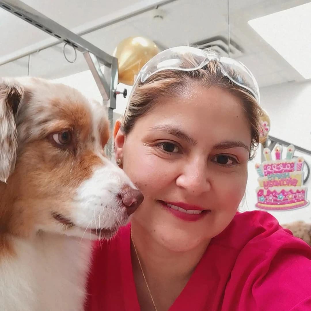 Gallery Amazing Pet Grooming