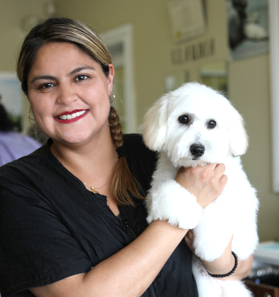 Amazing Pet Grooming